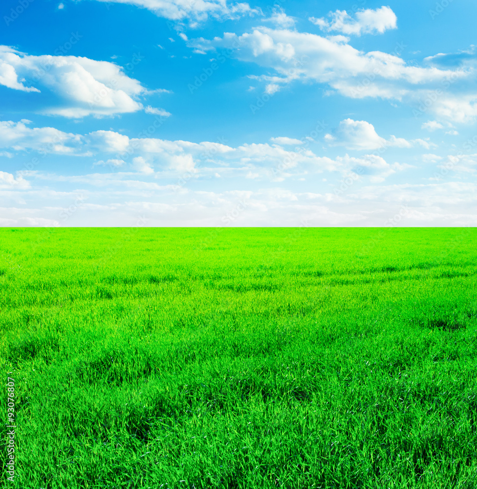 Background image of lush grass field under blue sky