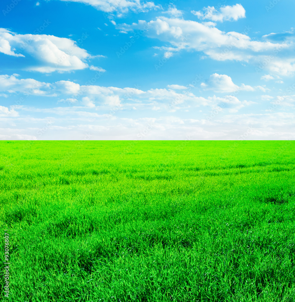 Background image of lush grass field under blue sky Background image of lush grass field under blue sky