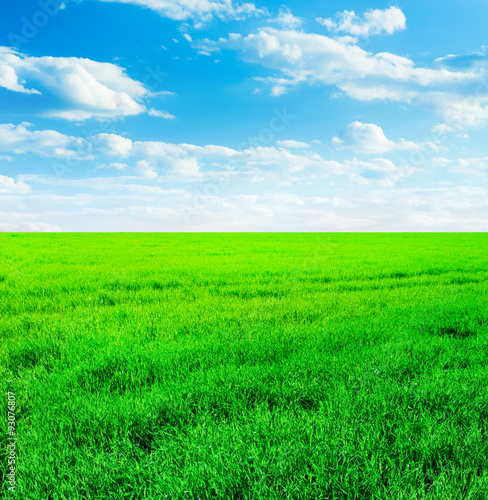 Background image of lush grass field under blue sky © ZaZa studio