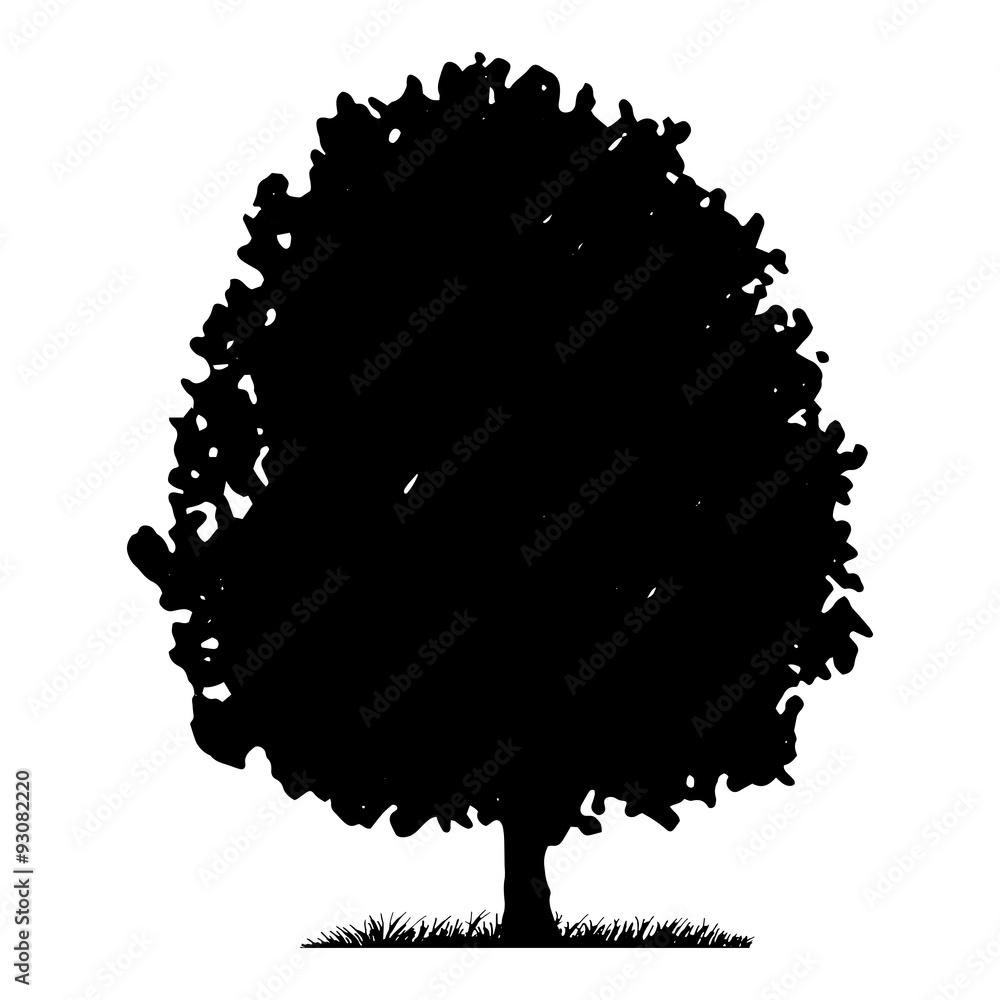 Tree and grass silhouette Tree and grass silhouette