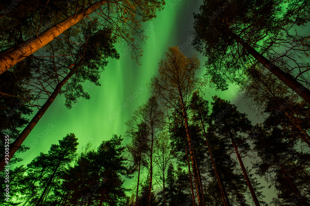 Northern Lights Kuopio Stock Photo | Adobe Stock