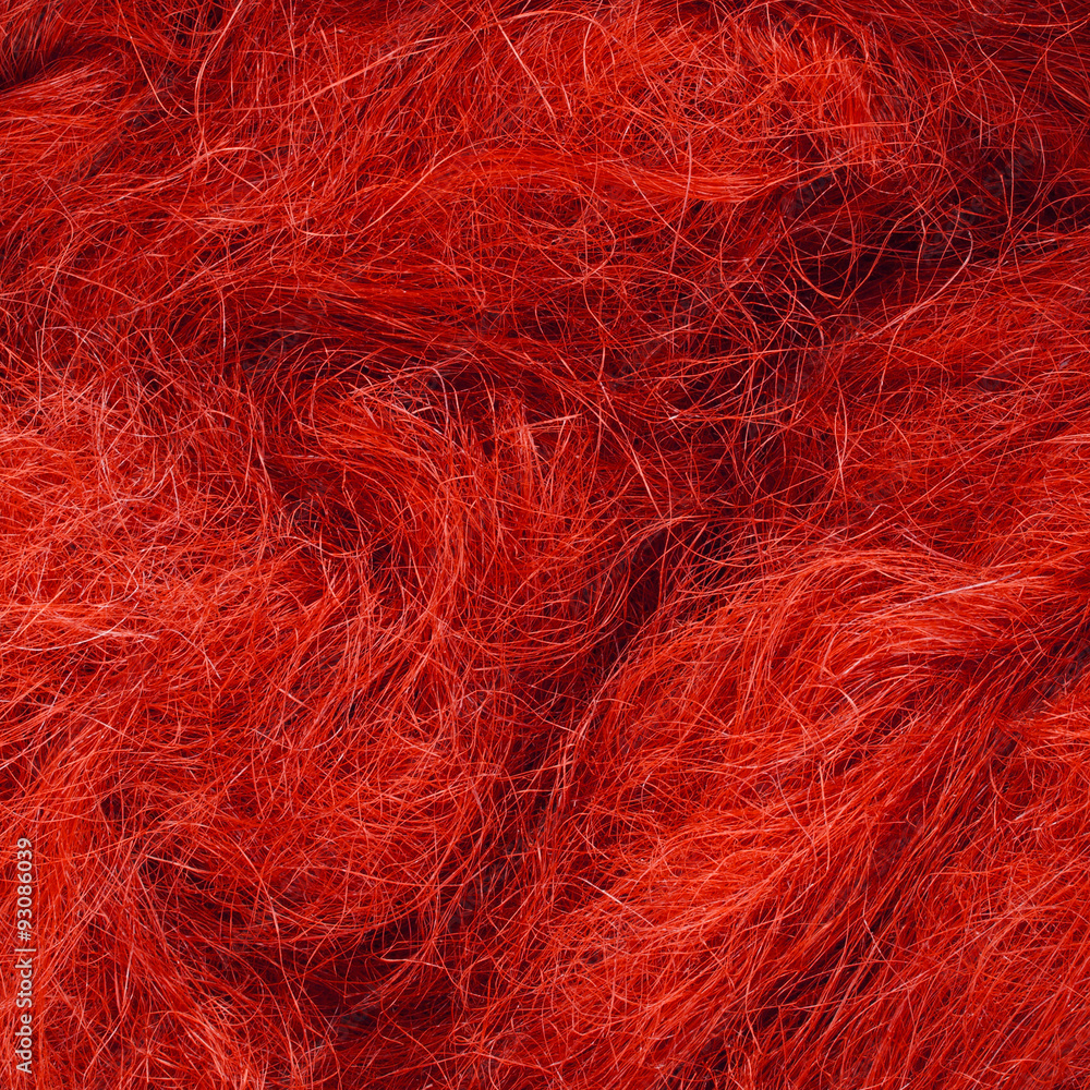 Fototapeta premium Wild hair in a close-up