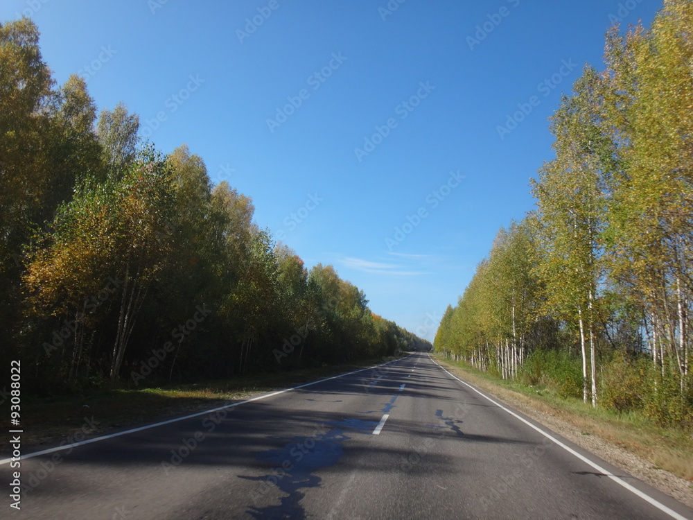 Fototapeta premium Трасса, окруженная желто-зелеными осенними деревьями