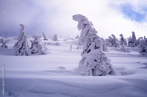 Winter scenery in Krkonose National Park photo