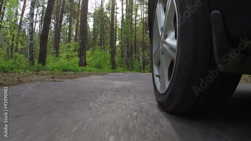 Wallpaper Mural The wheel of the car goes on the forest road
 Torontodigital.ca