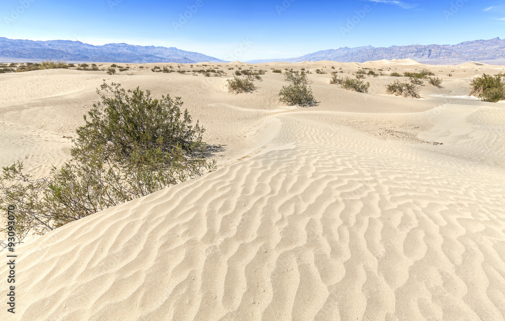 Sand dunes in Death Valley National Park, California, USA. Sand dunes in Death Valley National Park, California, USA.