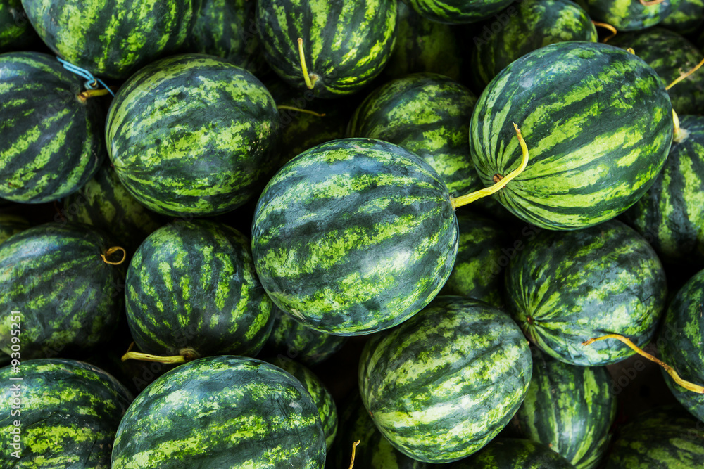 close up green watermelon for agriculture produce close up green watermelon for agriculture produce