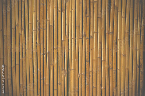 bamboo fence background Film Style