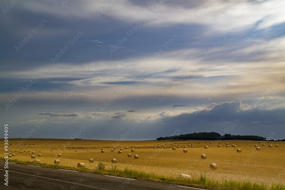 Champs avant l'orage