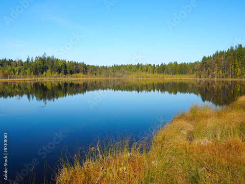 Forest Lake at sunrise morning. Grass and trees reflected in quiet water. Blue sky. Early autumn in Eastern Finland