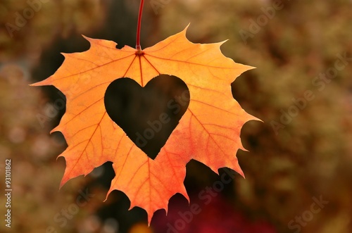 Heart in autumn leaf on autumn nature  background.
