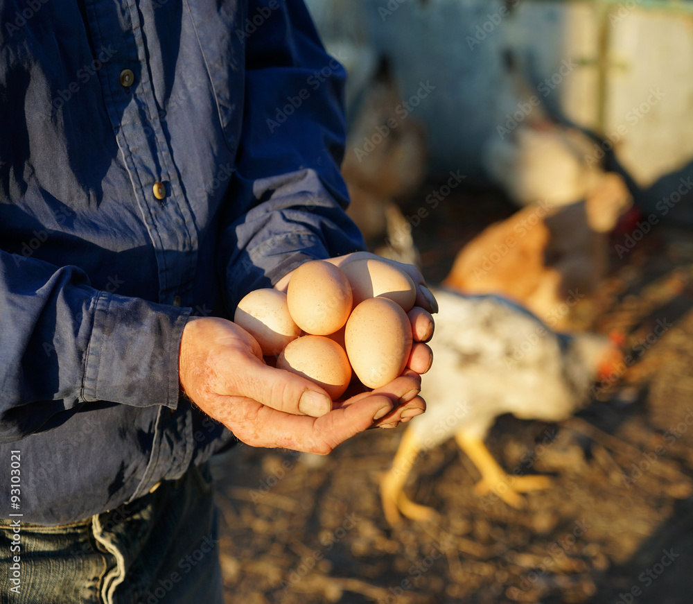 Farmer