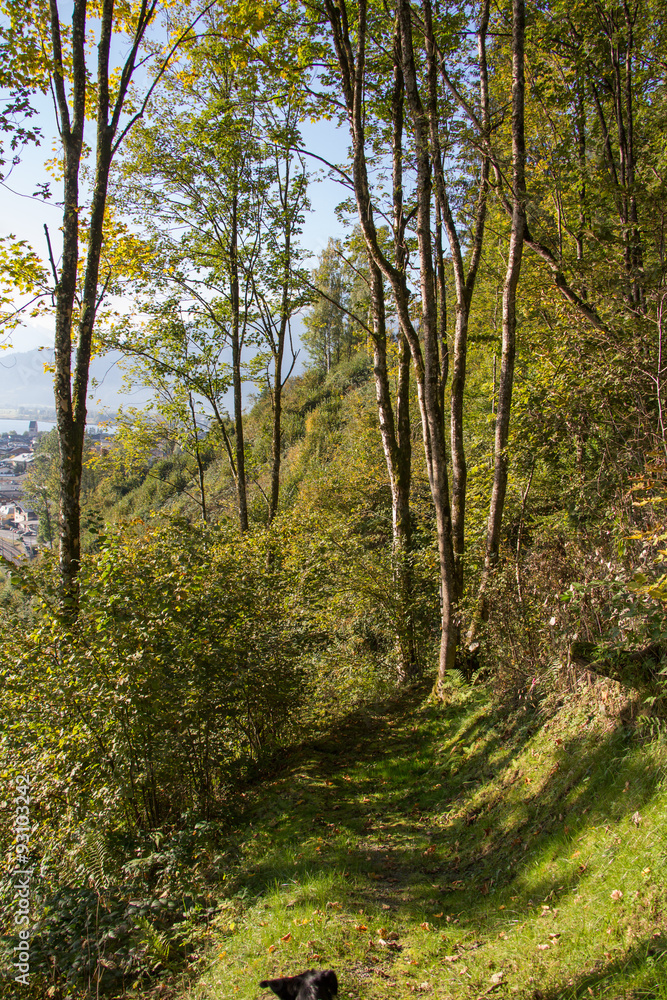 Wanderweg, Zell am See Wanderweg, Zell am See