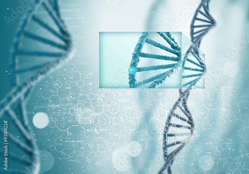 DNA molecule