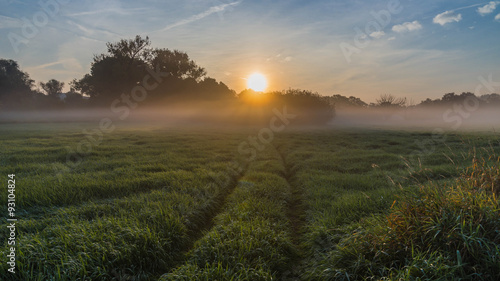 Feldweg im Nebel mit Sonnenaufgang