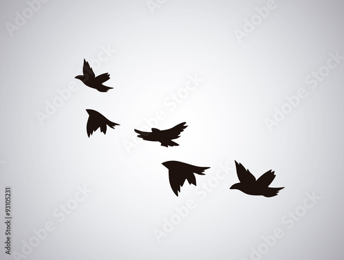 Naklejka Wektorowej sylwetki latający ptaki na białym tle. Tatuaż