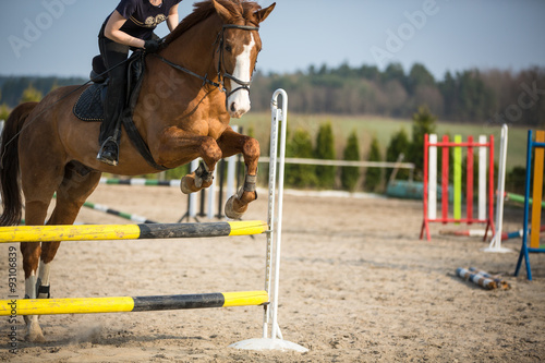 Young woman show jumping with horse © lightpoet