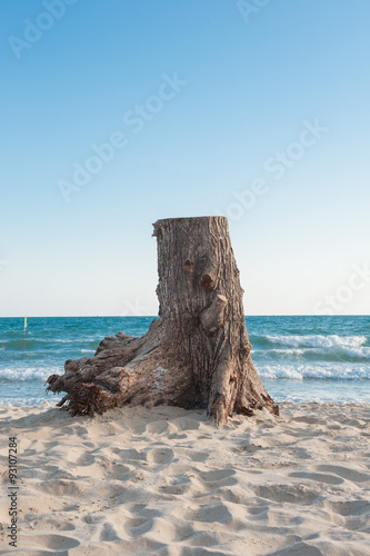 Stump with sea background.