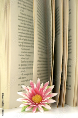 Pagine di un libro con fiore