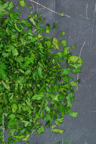 dry green parsley on dark background