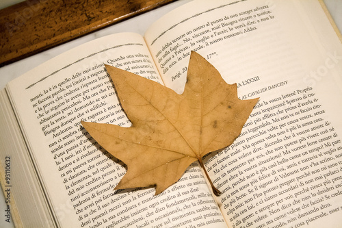 Libro aperto con foglia autunnale