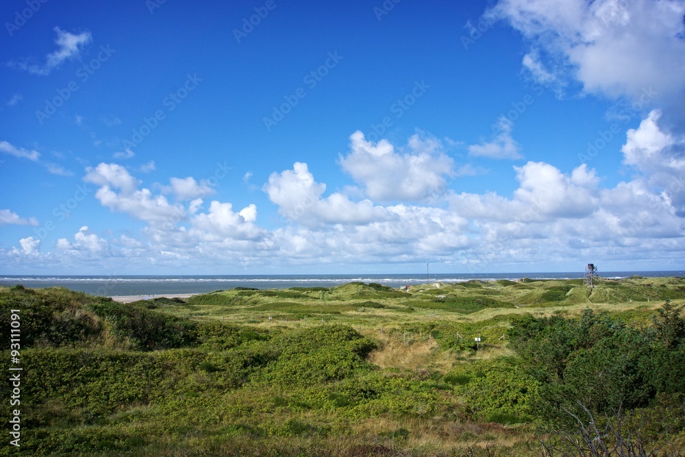 Küstenlandschaft bei Blavand, Dänemark
