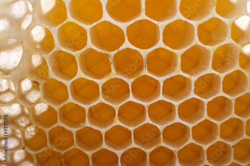 delicious honeycomb closeup