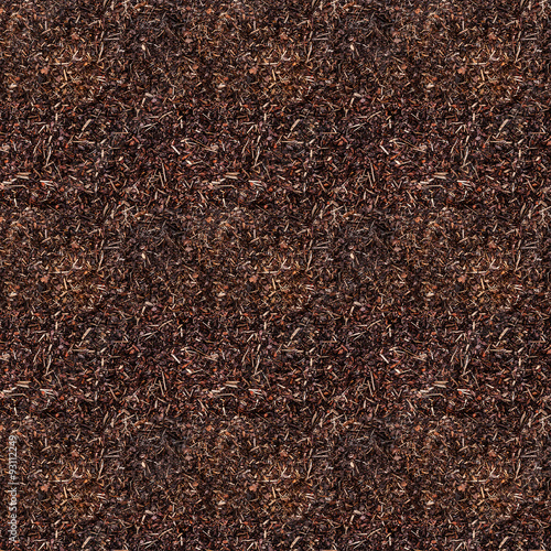 Seamless tiles texture of Birch bark for garden. Closeup of wood
