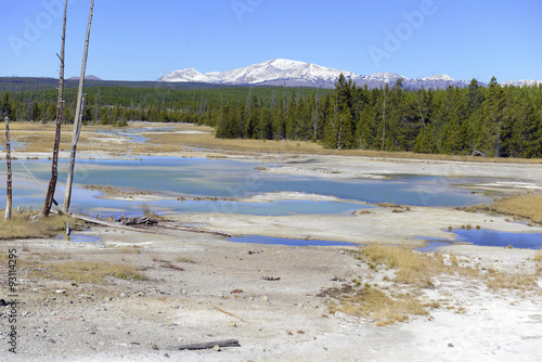 Geothermal activity and colorful Bacteria mats of thermophilic microorganisms in the runoff of hot springs in Yellowstone National Park, Wyoming