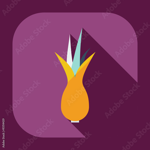 Flat modern design with shadow icons onion