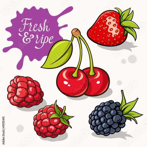 Berries set 001