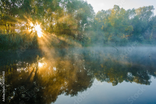 Herbstmorgen in Halle/Saale, Pulverweiden-Rabeninsel