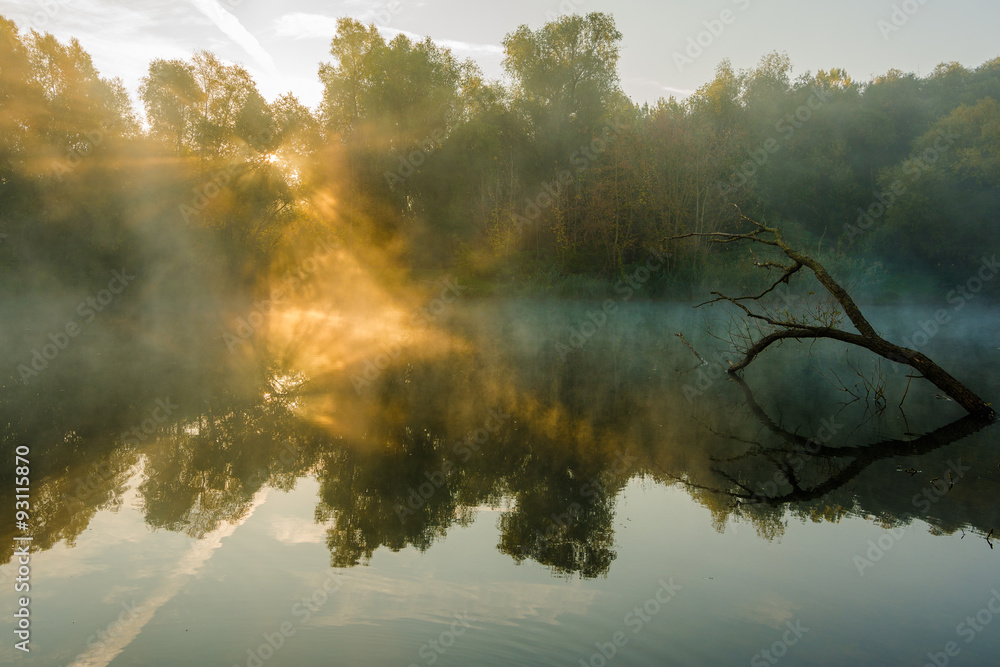 in Halle/Saale, PulverweidenRabeninsel StockFoto Adobe