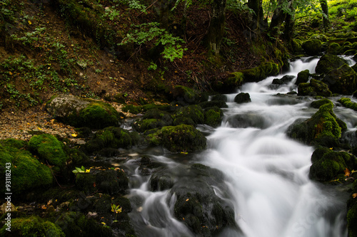 Fototapeta Naklejka Na Ścianę i Meble -  stream in the forest