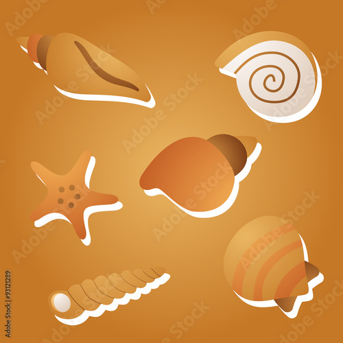 kind of sea shells, sticker vector silhouette illustration