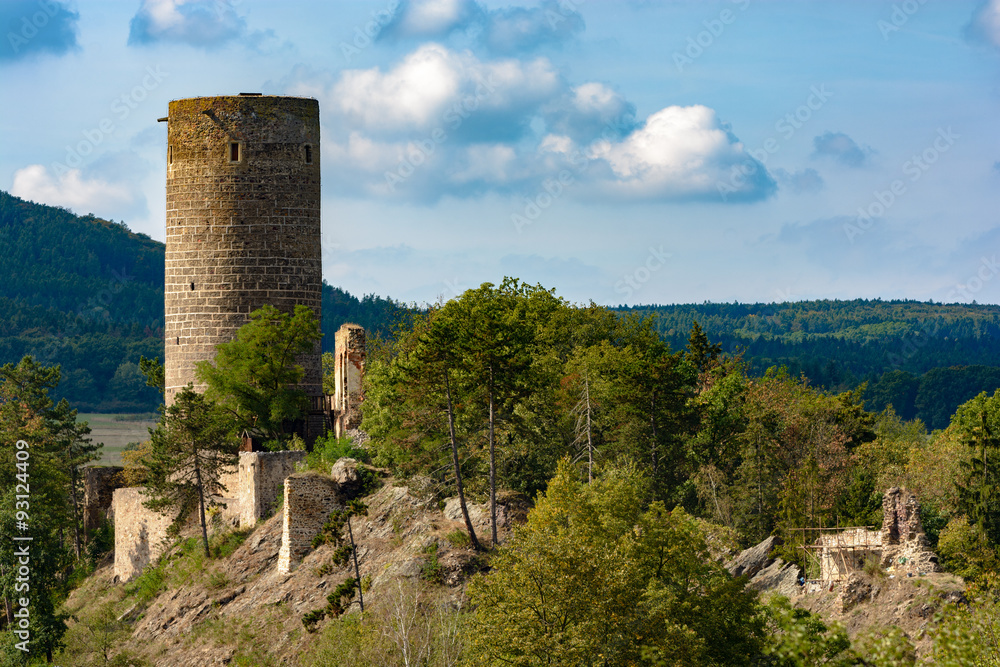 Medieval castle ruins Zebrak