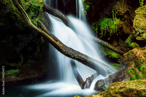 Cascada La Vaioaga in Cheile Nerei national park