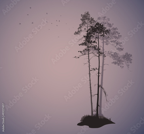 air landscape with silhouettes of pine trees and a flock of bird