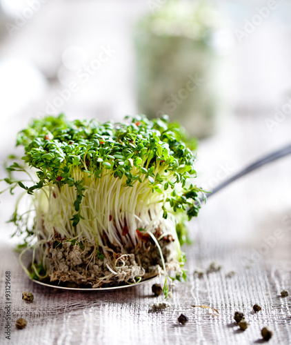 Tableau sur toile Water cress sprouts on a textile background