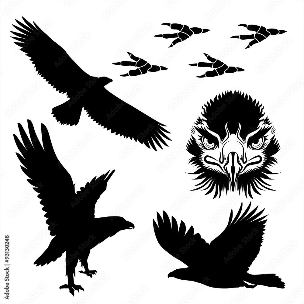 Obraz premium Eagle silhouette vector