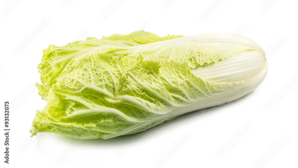 fresh chinese cabbage isolated on a white background fresh chinese cabbage isolated on a white background