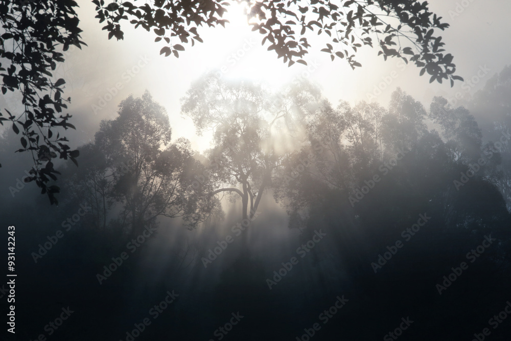 Naklejka premium Smoke-haze pollution in Indonesia.