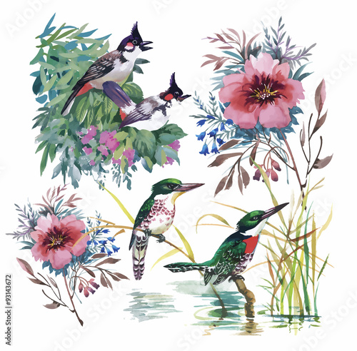 Seamless pattern with summer herbs and birds. Watercolor