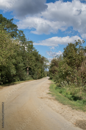 Nature and a Country Road