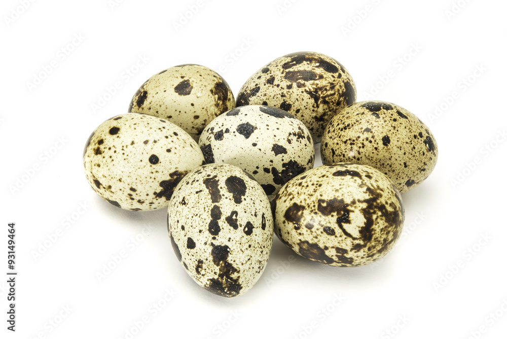 quail eggs on white quail eggs on white