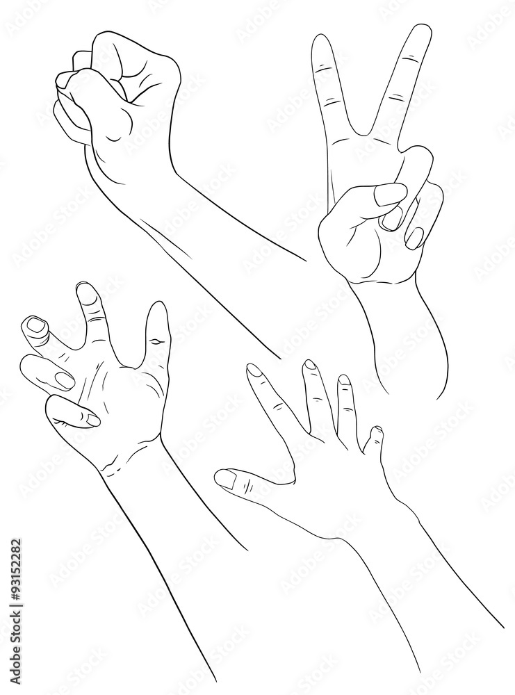 isolated hand isolated hand