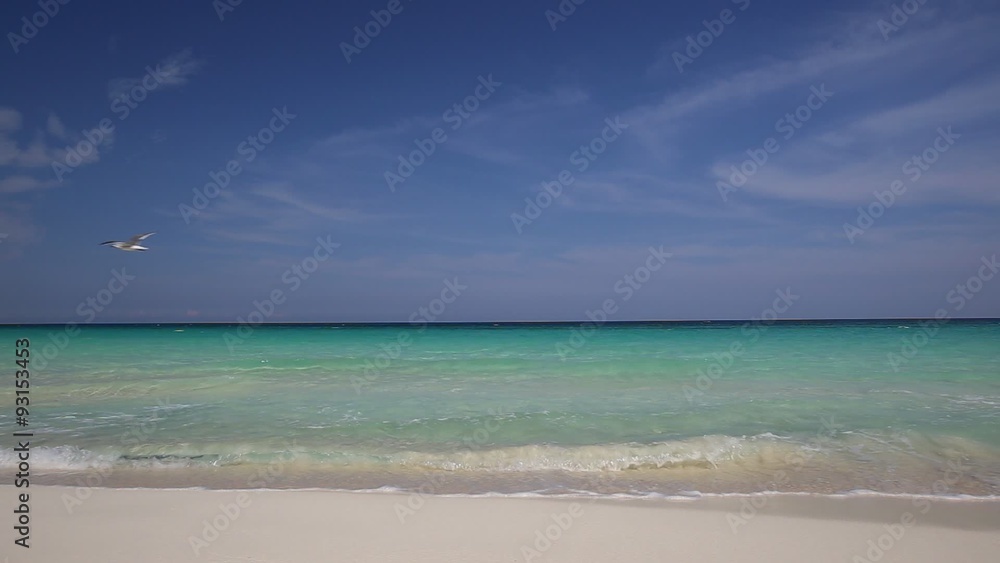 Caribbean sea coastline. Beautiful tropical beach view
Caribbean sea coastline. Beautiful tropical beach view