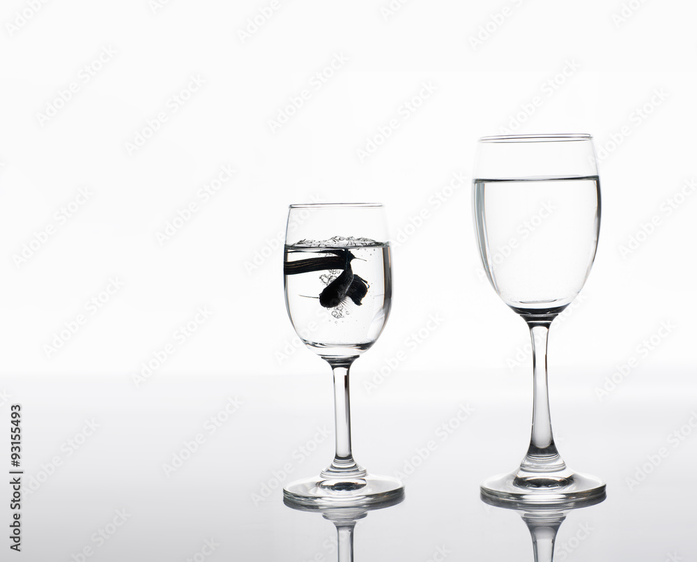 fish in drinking glass with clean water