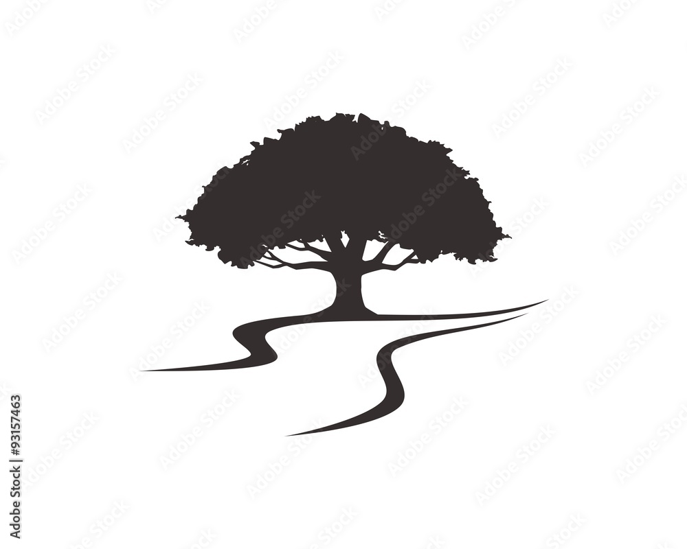 Fototapeta premium Oak tree