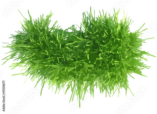 Vector illustration grass